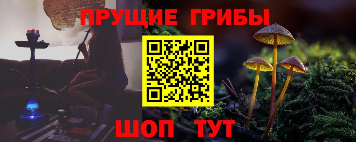 Псилоцибиновые грибы мухоморы Долгопрудный